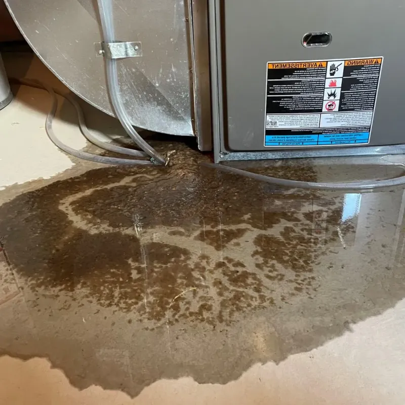 Pipe Burst and Leak Restoration in East Garfield Park, IL